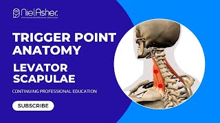 Exploring the Levator Scapulae Understanding Trigger Point Locations for Better Muscle Health [upl. by Paloma]