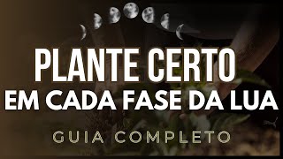 O que PLANTAR em cada Fase da Lua Guia Completo [upl. by Nueovas]