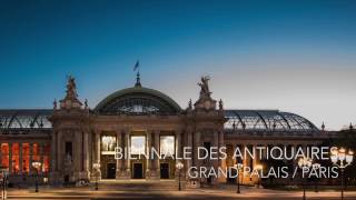 Biennale des Antiquaires 2016 [upl. by Elletnuahs354]