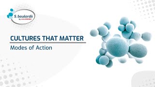 S boulardii mechanisms of action [upl. by Eyeleen]