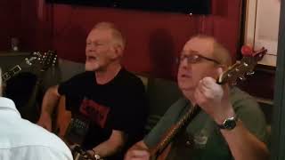 Wexford Fleadh 2024 Music amp Singing Session at Swan Bar [upl. by Nygem]