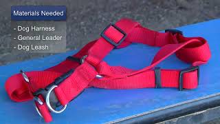 How to Put on Dog Harnesses [upl. by Donatelli]