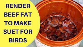 How to Render Beef Fat to Make Suet for Birds 2018 [upl. by Fonsie]