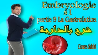 Embryologie s1  partie 9  La Gastrulation  شرح بالدارجة [upl. by Jary434]