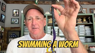 When Swimming A Worm Catches Big Bass In The Summer… [upl. by Care732]