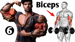 6 Effective Biceps Exercises for Wider Biceps [upl. by Anyahs]