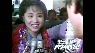 松田聖子💓神田正輝 ホヤホヤ新婚 旅行inハワイ インタビュー パート1😻芸能レポーター [upl. by Orabelle]