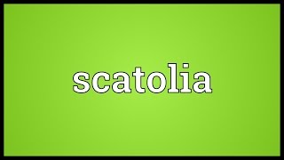 Scatolia Meaning [upl. by Assiralk]