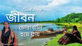 জীবন সাপ সিঁড়ি খেলে যায়  jibon chorabali hoye jai  sad song Romantic song [upl. by Rehportsirhc]