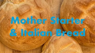 Mother Starter amp Italian Bread from Puglia [upl. by Weed]