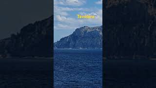 Sardegna Isola di Tavolara shorts ocean seau scary travel oceanwaves oceansounds oceanview [upl. by Athene174]