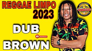 DUB BROWN  REGGAE LIMPO 2023 💥😱💥 [upl. by Terrie659]