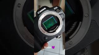 Canon R6 Mark ll [upl. by Jill]