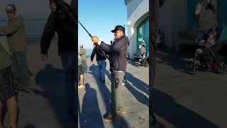 Fishing Thresher Shark at Huntington Beach Pier [upl. by Tomas366]