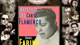 Rafael Farina  De Entre Todas las Mujeres  Fandangos Flamenco Masters [upl. by Ecneps54]