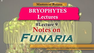 Lecture 9  Funaria Life Cycle Important Bryophytes  Bryophyta Lecture Notes [upl. by Akapol]