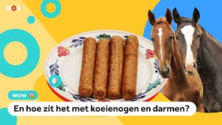 Worden frikandellen echt van paard gemaakt [upl. by Sim]