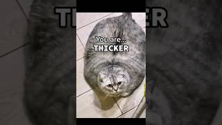 Thicker than a snicker [upl. by Svend]