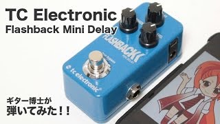 TC Electronic Flashback Mini Delay をギター博士が弾いてみた！！ [upl. by Vizza]