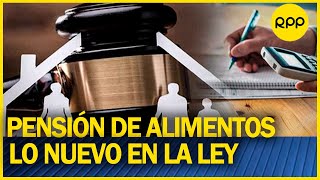 ¿Cómo procede una demanda de alimentos de varios hijos FamiliaYJusticia [upl. by Adams]