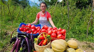 Watch Us Transform Garden Peppers into Amazing Dishes 🌶️👩‍🍳 [upl. by Akihsar]