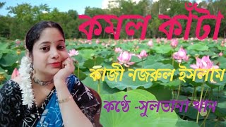 কমল কাঁটা কাজী নজরুল ইসলাম বাংলা কবিতা audio poetry sultanakhan [upl. by Naujik]