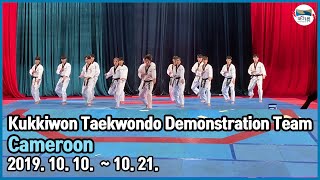 Kukkiwon Taekwondo Demonstration Team at 국기원태권도시범단 카메룬 파견 [upl. by Nerrej]