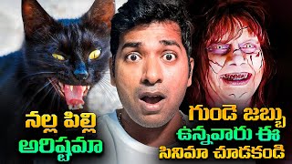 TOP 10 Horror Movies In The World Black Cat Myth In India  Telugu  VR Raja Facts [upl. by Laehctim]