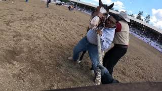 Prescott Frontier days rodeoThe Worlds Oldest RodeoWild Horse Race2024 [upl. by Etteuqram726]