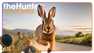 Scrub Hare Challenge theHunter Call of the Wild [upl. by Weiner558]