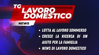 TG LAVORO DOMESTICO 121023 [upl. by Giesecke229]