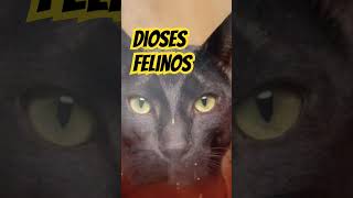 Remix dioses felinos [upl. by Enovahs]