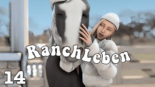 Friedliches Leben auf der Ranch🍀  Ranch Leben  Episode 14 [upl. by Assyral]