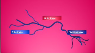 What are Tributaries and Distributaries of a River  Questions and Concepts [upl. by Akirat]