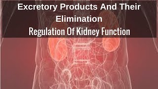 Regulation Of Kidney Function [upl. by Val36]