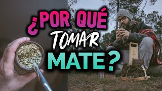 5 RAZONES por qué es BUENO tomar MATE [upl. by Paugh]