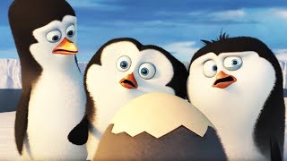 DreamWorks Madagascar en Español Latino  Clip de Los Pingüinos de Madagascar  Dibujos Animados [upl. by Nosemyaj]