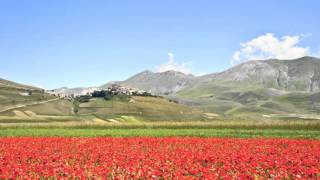 Un anno a Castelluccio di Norcia [upl. by Knitter]