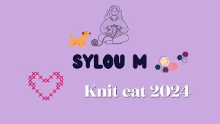 VLOG TRICOT I KNIT EAT 2024 I Je vous emmène avec moi I [upl. by Eelarak680]