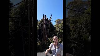 Why I love Auckland Zoo  Primate keeper Sarah [upl. by Holleran]