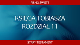 Księga Tobiasza  Rozdział 11 [upl. by Mordy]