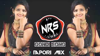 Pinjara ta rago Gondi song full tapori mix DJ NRS remix and DJ Sachin Amravati [upl. by Rosenstein]