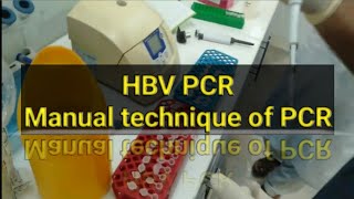 HBV PCR test PCR test Manually [upl. by Siubhan859]