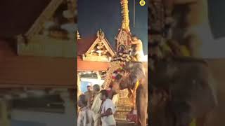 சுவாமியே சரணம் ஐயப்பாsabarimala shorts [upl. by Aniluap]