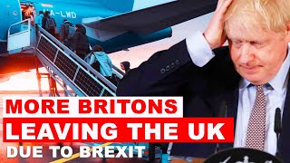 💥BREAKING NEWS💥 30 INCREMENT IN BRITONS MOVING OUT OF THE UK  BREXIT UPDATE [upl. by Adamsun468]