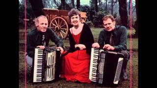 Richard Fitzgerald Ceili Band Reeveys Reel Selectionavi [upl. by Giustina]