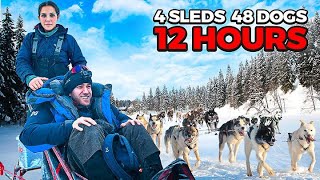 104 km Dog Sledding Trip with Funkygine [upl. by Voorhis]