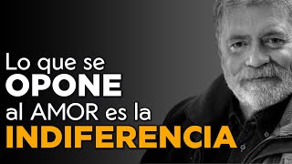 ¿Por qué elegimos mal en el amor Los 4 pilares para las relaciones  Dr Walter Riso [upl. by Attirehs]