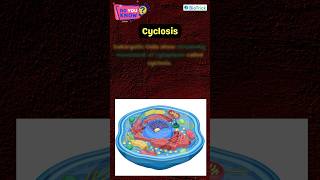 Cyclosis  Eukaryotic Cells  Cell Unit of Life  Class 11 Biology  Biology Boons neetbiology [upl. by Kreda]