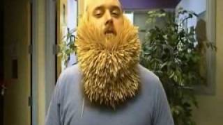 2747 Toothpicks In My Beard [upl. by Wendall270]